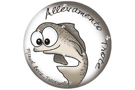 Allevamento trote Bovio